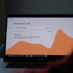 vdl sej informes ia google search console global